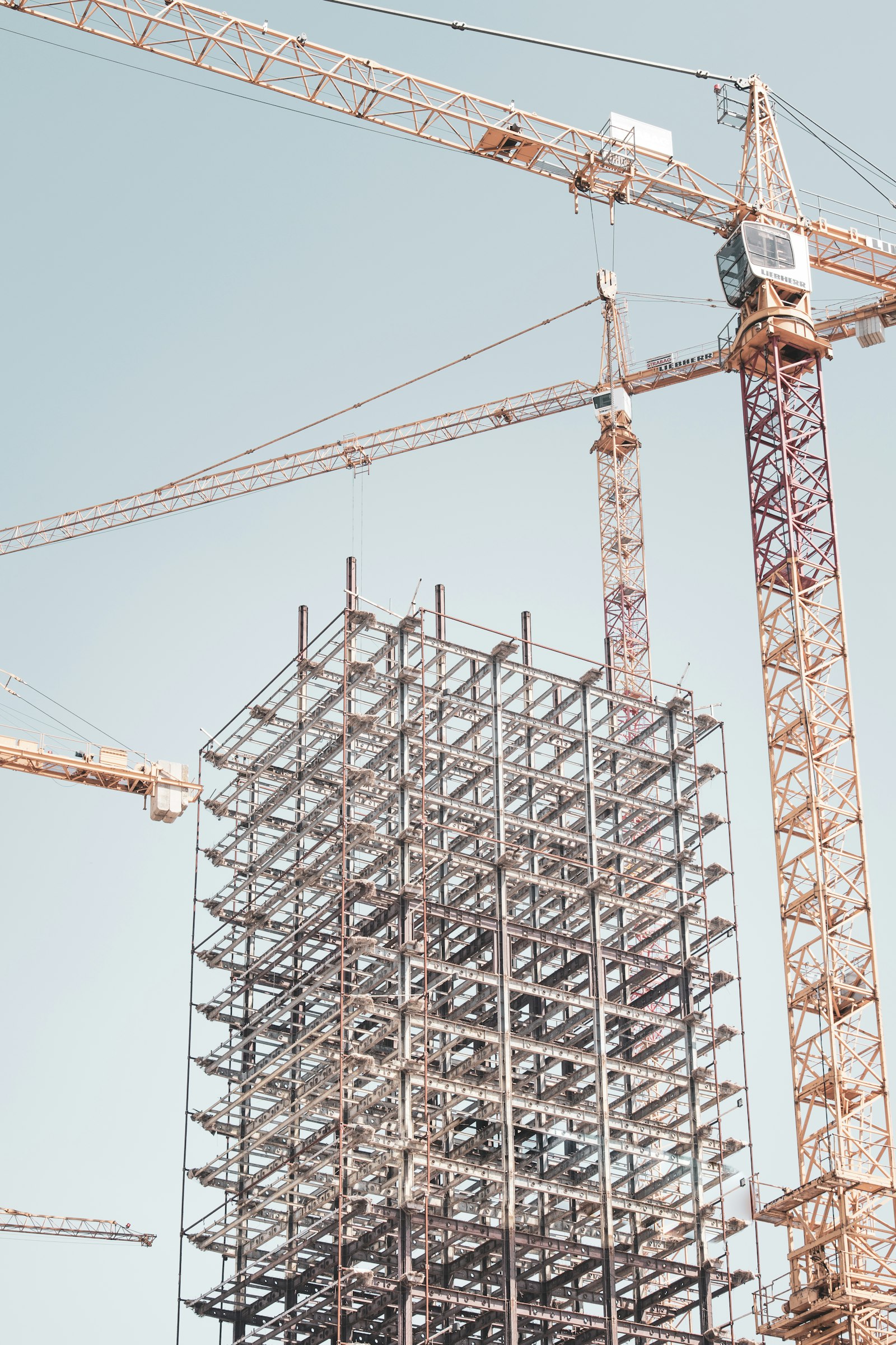 Infrastructure & Real Estate